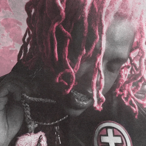 pink 1.gif