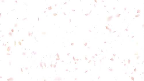 6c56b761195e.png