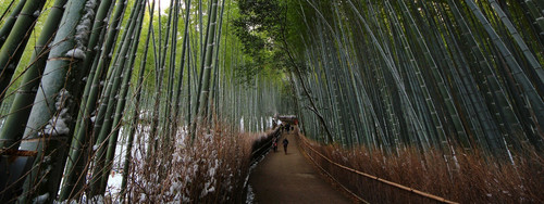 Japan Tour Packages.jpg