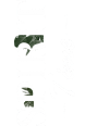 logo2.png