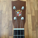 Luna LS-4 (11)