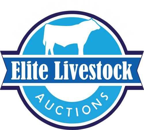 Elite Livestock Logo white text.png
