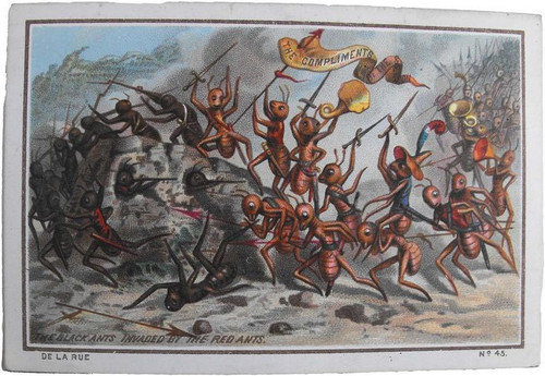 A20EE170 FE69 4D0E BF33 F6601DA933E3.jpg