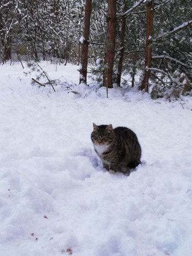 IMG 20210130 163403 ergebnis.jpg