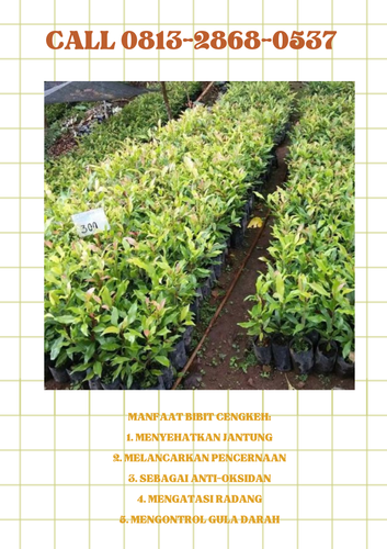 png 20221117 165559 0000.png