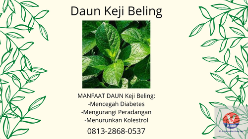 desain daun keji beling 30.png