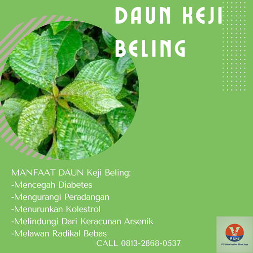 desain daun keji beling 29.png