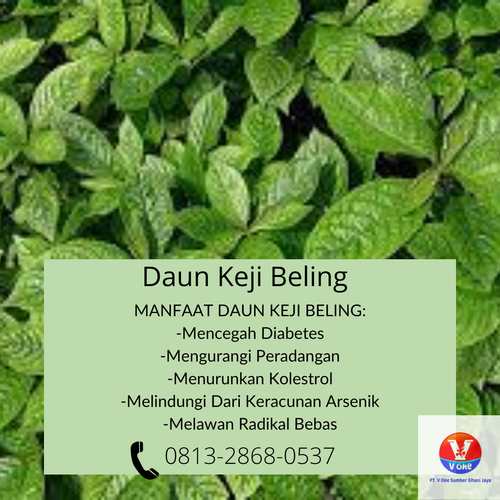 desain daun keji beling 28.png