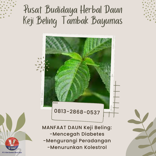 desain daun keji beling 27.png