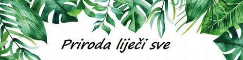 ce6b81aa52d5ad8ed595c37509f5e527 Copy.jpg