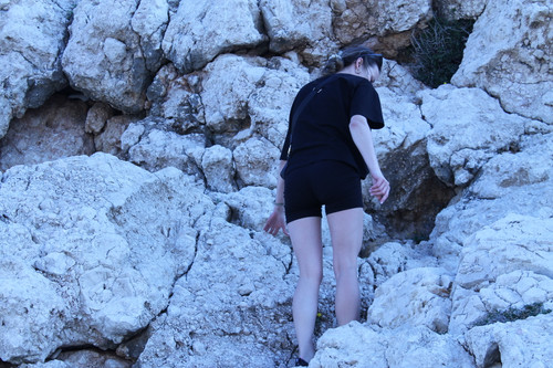 IMG 0331.jpg