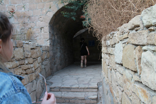 IMG 0365.jpg
