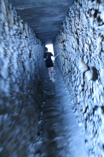 IMG 0356.jpg