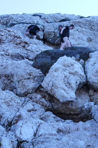 IMG 0336.jpg
