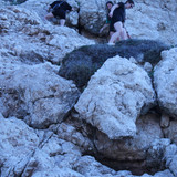 IMG 0336