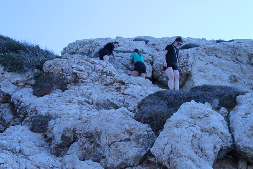 IMG 0335.jpg