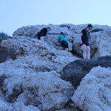 IMG 0335