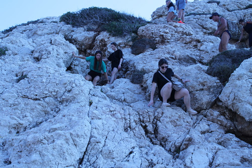 IMG 0340.jpg