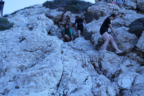 IMG 0339.jpg