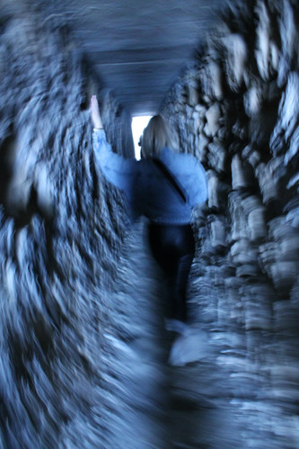 IMG 0358.jpg