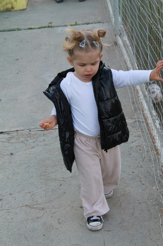 IMG 0409.jpg