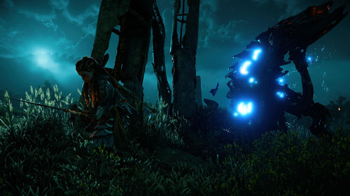 Horizon Forbidden West 20221025134324.jpg