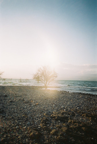 000003 (1).jpg
