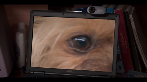 06145f150c49.png