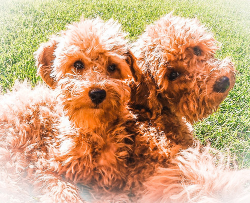 PSX 20221025 133749.jpg