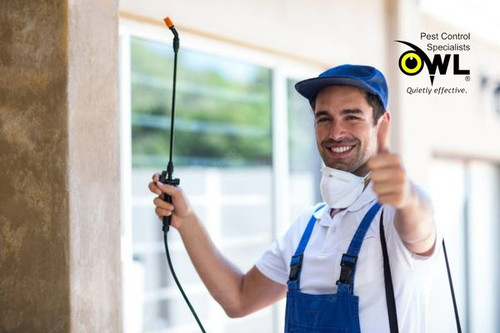 Residential and Commercial Pest Control Services Dublin.jpg