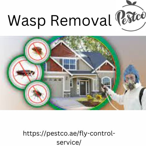 Best Wasp Removal In Dubai| Pestco.jpg