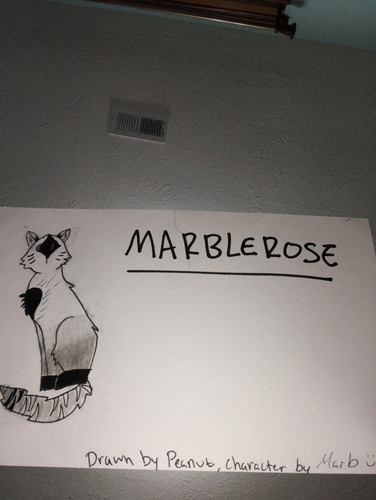 IMG 3569.jpg