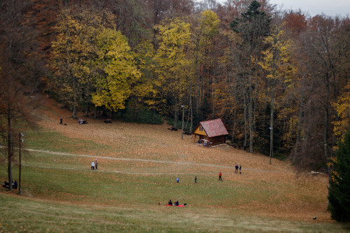 IMG 8150.jpg