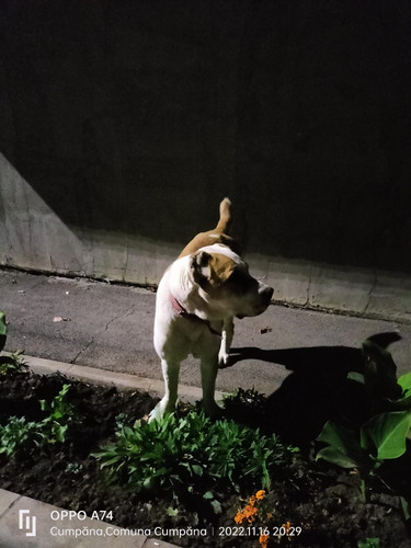 IMG 20221116 WA0000.jpg