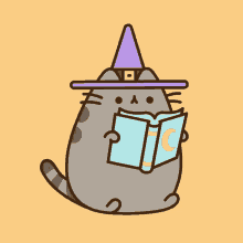pusheen witch.gif