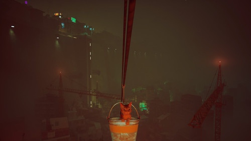Stray 20221012210907.jpg