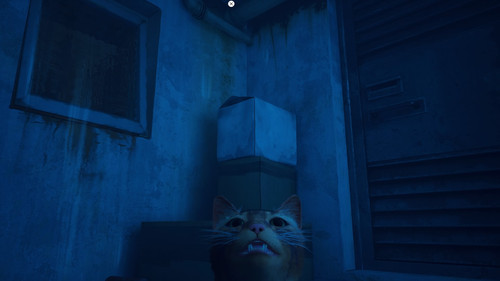 Stray 20221012171408.jpg