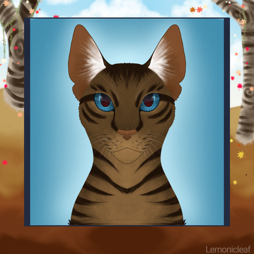 Untitled288 20221116142652.png