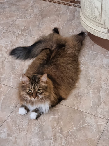 IMG 20221114 WA0020.jpg