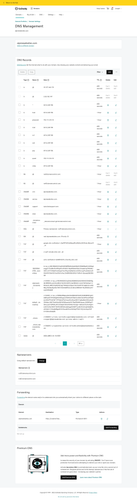 Screenshot 2022 11 14 at 12 36 44 DNS Management.png