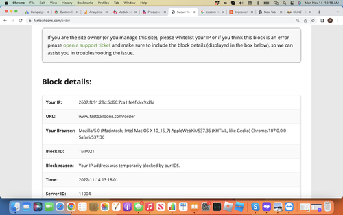 Screenshot 2022 11 14 at 10.18.31 AM.png