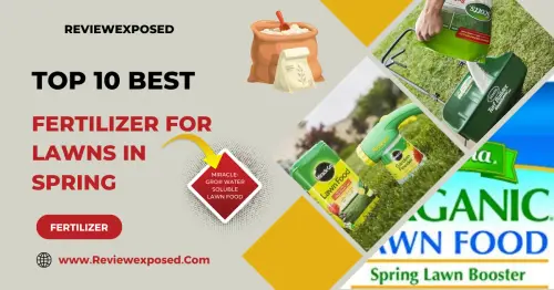 Best Lawn Fertilizer for Spring.webp