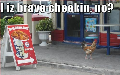 2969262582 85b3085bdd.jpg