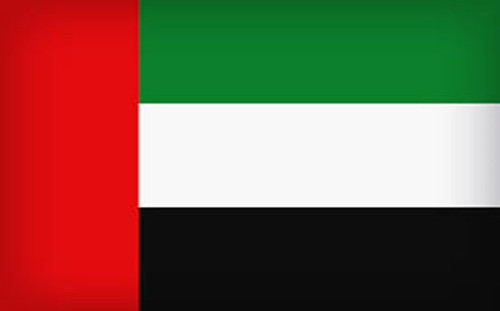 FLAG MEDIUM.jpg