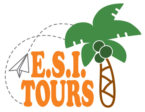 ESI Logo White.jpg