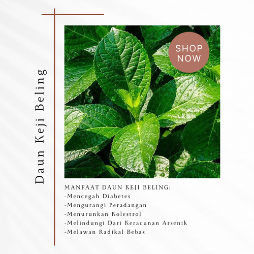 Desain 74 Daun Keji Beling.png