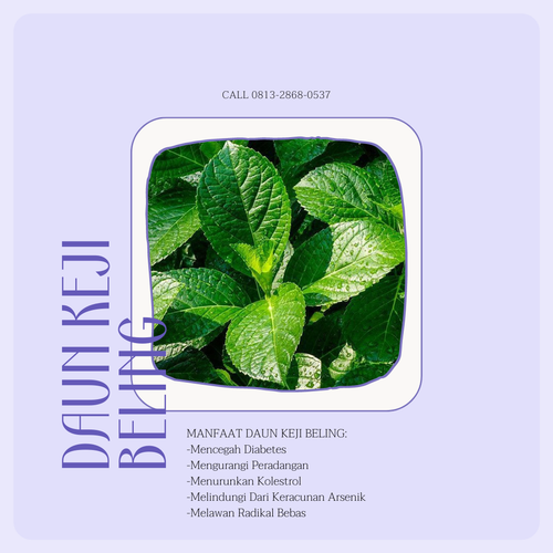 Desain 73 Daun Keji Beling.png