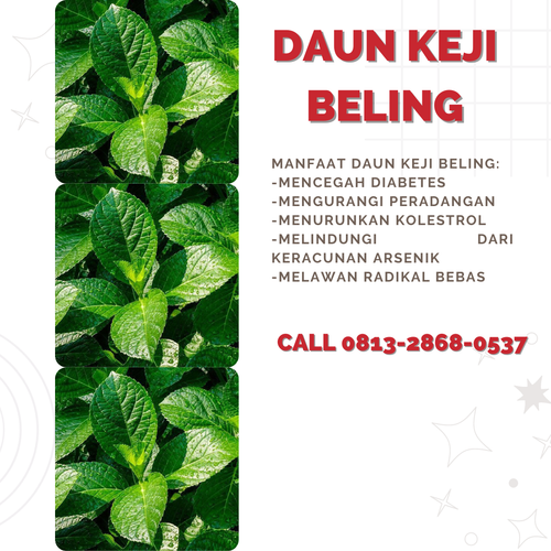 Desain 71 Daun Keji Beling.png