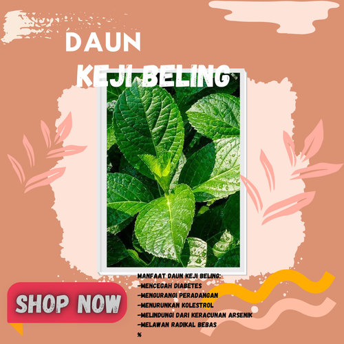 Desain 75 Daun Keji Beling.png