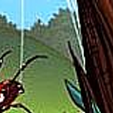 muffet 44